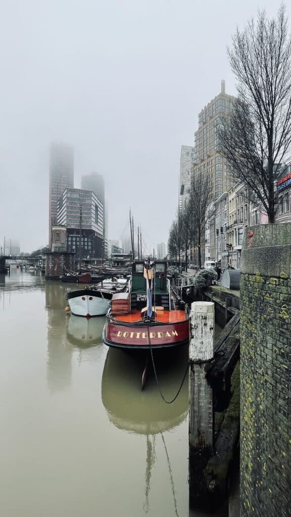 Rotterdam clarity sessions